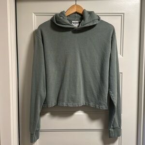 Jungmaven sun kissed sage Green cropped Hoodie